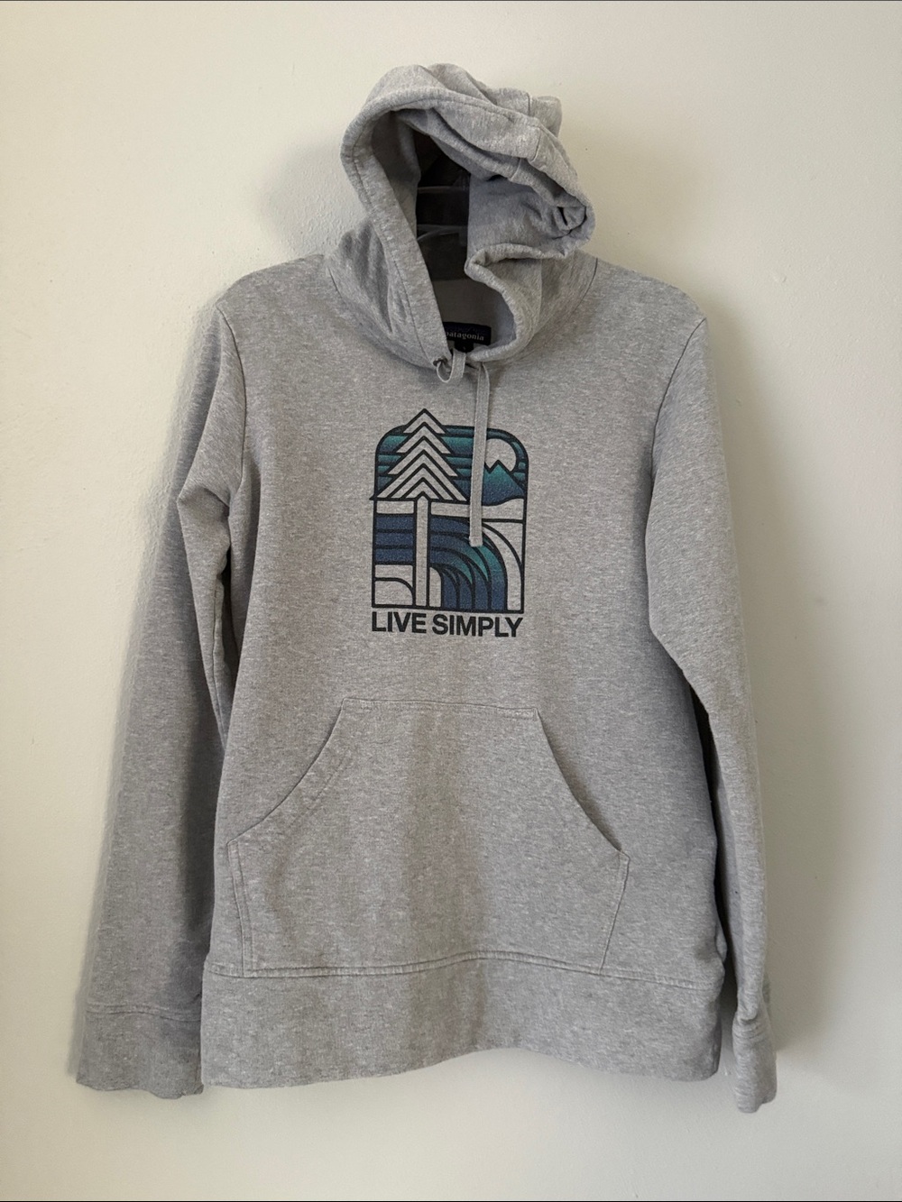Patagonia pullover hoodie size small